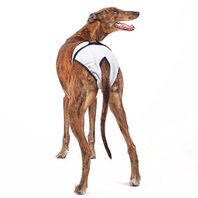 "EVE SOFA" PANTS FOR PLI, WHIPPET, GREYHOUND