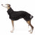 RAINCOAT "SOFA DOG WEAR MICHAEL EXTRARAIN 02" GRAY FOR PLI, WHIPPET, GALGO, SIGHThound 