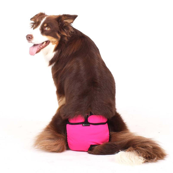 "EVE SOFA" PANTS FOR PLI, WHIPPET, GREYHOUND