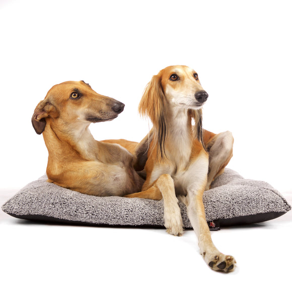 CUSCINO QUADRATO "SOFA TIGERS PILLOW" GRIGIO