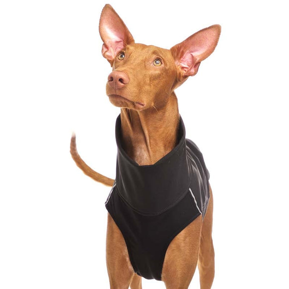 RED "SOFA HACHICO 02" SOFT SHELL T-SHIRT FOR PLI, WHIPPET, GALGO AND GREYGOUND