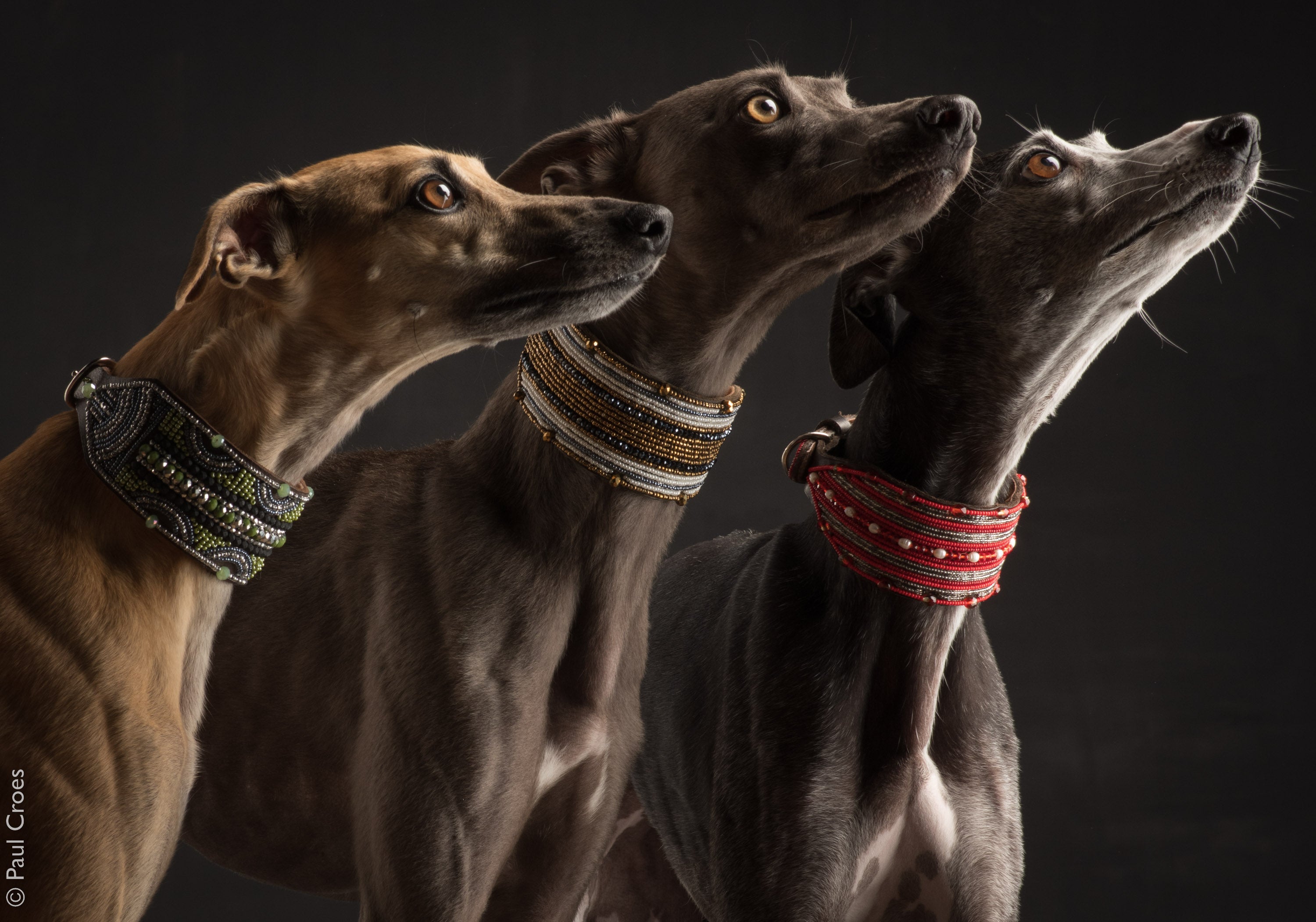 Frz1115 22cad8f3 c9cb 4341 b951 cf38f01ddf58