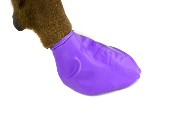 PAWZ SCARPETTE PROTETTIVE COLORARE 12 PZ NEW