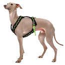 PETTORINA PER PLI IMBOTTITA NERA CON ZAMPINE ROSA-2