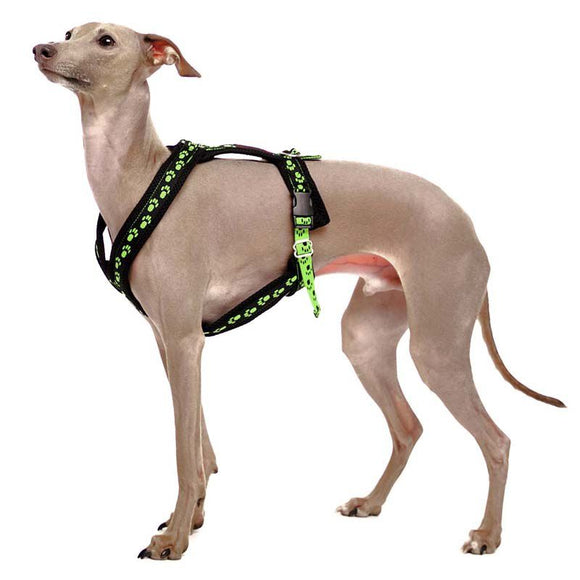 PETTORINA PER PLI IMBOTTITA NERA CON ZAMPINE ROSA