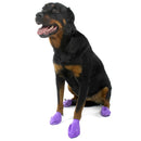 PAWZ SCARPETTE PROTETTIVE COLORARE 12 PZ NEW-2
