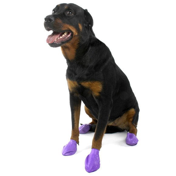 PAWZ SCARPETTE PROTETTIVE COLORARE 12 PZ NEW