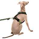 PETTORINA PER PLI IMBOTTITA NERA CON ZAMPINE ROSA-5