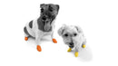 PAWZ SCARPETTE PROTETTIVE COLORARE 12 PZ NEW-3
