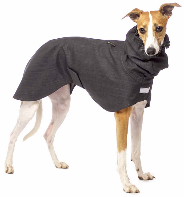 REGENMANTEL IN LIGHT SOFTSHELL „SOFA DOG WEAR GABRIEL 03“ ANTHRAZIT FÜR WHIPPET, GALGO, GREYHOUND 