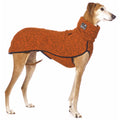 FLEECE T-SHIRT "SOFA KEVIN JUMPER 02" FOX FOR SMALL ITALIAN SIGHThound, WHIPPET AND SIGHThound
