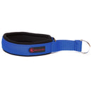 BLAUER "SOFA TEXTIL" GEPOLSTERTER KRAGEN-1