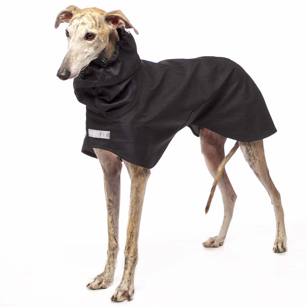 REGENMANTEL IN LIGHT SOFTSHELL „SOFA DOG WEAR GABRIEL 03“ ANTHRAZIT FÜR WHIPPET, GALGO, GREYHOUND 