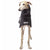 REGENMANTEL IN LIGHT SOFTSHELL „SOFA DOG WEAR GABRIEL 03“ ANTHRAZIT FÜR WHIPPET, GALGO, GREYHOUND 