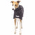 REGENMANTEL IN LIGHT SOFTSHELL „SOFA DOG WEAR GABRIEL 03“ ANTHRAZIT FÜR WHIPPET, GALGO, GREYHOUND 