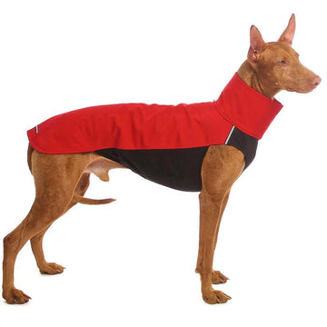 RED "SOFA HACHICO 02" SOFT SHELL T-SHIRT FOR PLI, WHIPPET, GALGO AND GREYGOUND