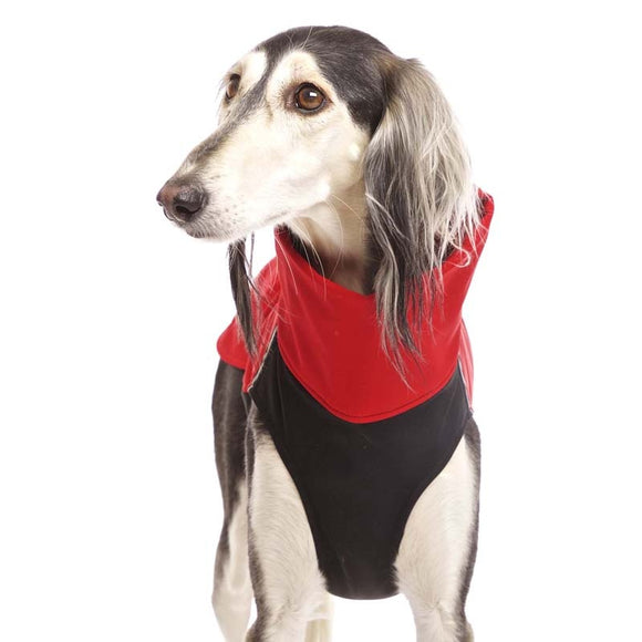 RED "SOFA HACHICO 02" SOFT SHELL T-SHIRT FOR PLI, WHIPPET, GALGO AND GREYGOUND