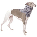 "SOFA RAFAEL" GRAY FLEECE NECK WARMER FOR PLI, WHIPPET, GALGO, GREYHOUND -4