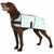 COOLING COAT "SOFA COOL ONE" GREEN FOR SIGHThounds 