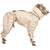 TUTA INVERNALE IMPERMEABILE "SOFA KELLY IG SNOW" BEIGE PER PICCOLO LEVRIERO ITALIANO
