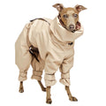 "SOFA KELLY IG SNOW" WATERPROOF WINTER OVERALL BEIGE FOR SMALL ITALIAN GREYHOUND LIGHT GREEN