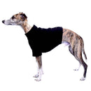 „SOFA OLIVER“ T-SHIRT AUS SCHWARZER BAUMWOLLE FÜR PLI, WHIPPET, WINDHUND-1