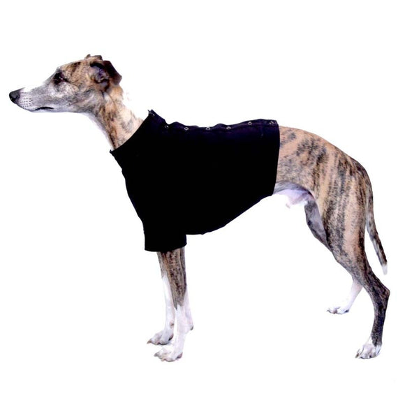 „SOFA OLIVER“ T-SHIRT AUS SCHWARZER BAUMWOLLE FÜR PLI, WHIPPET, WINDHUND
