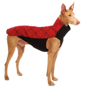 xxxRED CHECHERED "SOFA CHICO" SOFT SHELL T-SHIRT FOR WHIPPET
