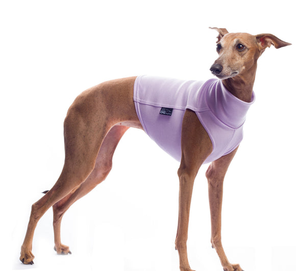 BAUMWOLL-T-SHIRT „DG COTTON UNDERWEAR“ LILA PLI, WHIPPET, WINDHUND