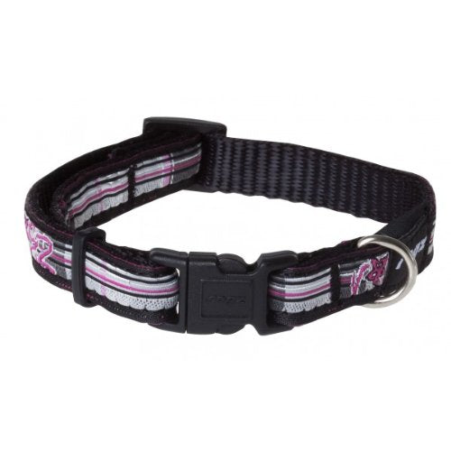 ROGZ "FLORALTARTAN" FANTASY COLLAR
