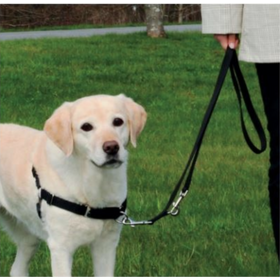 Hundetrainingsgeschirr „TRIXIE EASY WALK“.