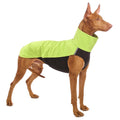 BLACK "SOFA HACHICO 02" SOFT SHELL T-SHIRT FOR WHIPPET, GALGO AND GREYGOUND