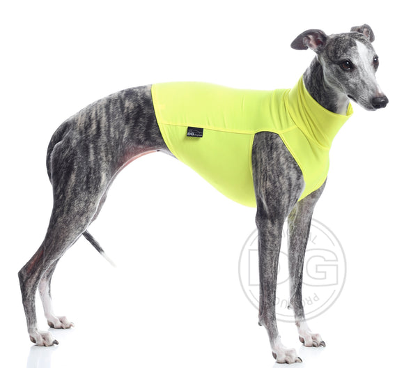 „DG SAFETY LIGHT UNDERWEAR“ HOCHSICHTBARES T-SHIRT GELB FÜR PLI, WHIPPET, GREYHOUND