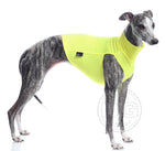 "DG SAFETY LIGHT UNDERWEAR" HIGH VISIBILITY T-SHIRT YELLOW FOR PLI, WHIPPET, GREYHOUND