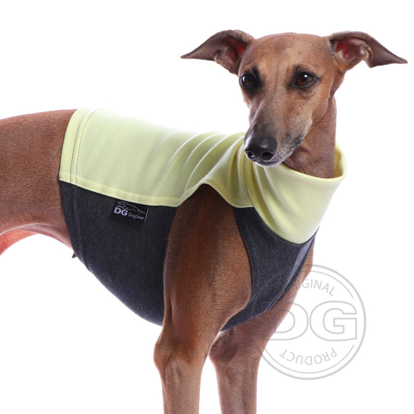 GRÜNES BAUMWOLL-T-SHIRT „DG COTTON UNDERWEAR LUXURY“ FÜR PLI, WHIPPET, GREYHOUND