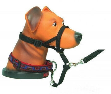 HALTI HUNDEHALSBAND FÜR AUSBILDUNGSHUNDE 