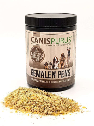CANIS PURUS GEMAHLENE KUDELN "GROUND KUTTELN"