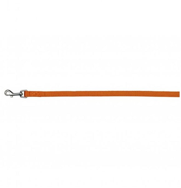HUNTER ORANGE NYLON LEASH