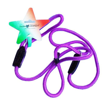 GUINZAGLIO NYLON RETRIEVER 7/160 VIOLA