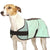 COOLING COAT "SOFA COOL ONE" GREEN FOR SIGHThounds 