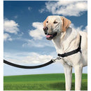 "TRIXIE EASY WALK" DOG TRAINING HARNESS-2