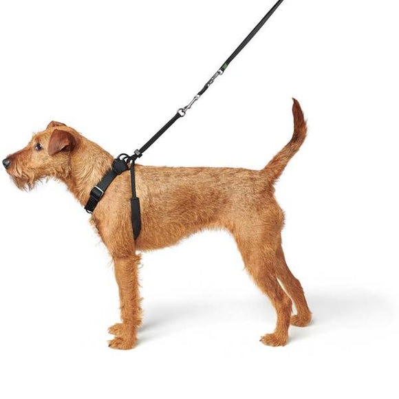 PETTORINA ADDESTRAMENTO CANI "HUNTER SIDE BY SIDE" NERA