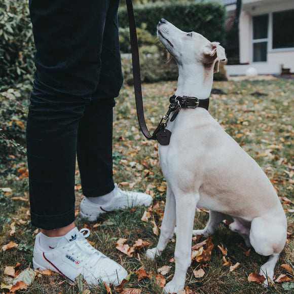 GUINZAGLIO IN PELLE "HUNTER SOFT GENUINE" DARK BROWN