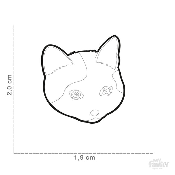 MEINE FAMILIE EUROPÄISCHE KATZE SCHWARZ-WEISS ID