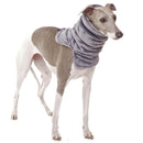 "SOFA RAFAEL" GRAY FLEECE NECK WARMER FOR PLI, WHIPPET, GALGO, GREYHOUND -1