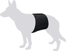 KARLIE INDOOR-HUNDEBAND-2