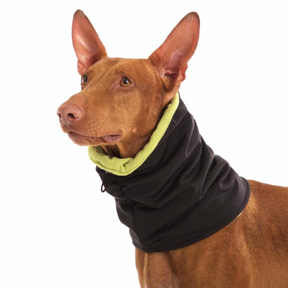 HALSWÄRMER IN SCHWARZ UND GRÜN "SOFA GIOTTO" SOFT SHELL FÜR WHIPPET, LEVR 