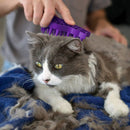 KONG MASSAGEBÜRSTE FÜR KATZE-2