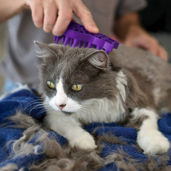 KONG MASSAGEBÜRSTE FÜR KATZE