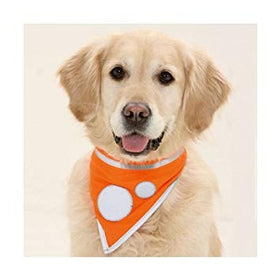 KARLIE ORANGE REFLEKTIERENDES SICHERHEITSBANDANA